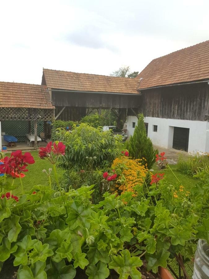Apartman Jozefina Netretic Luaran gambar